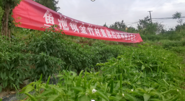 微信截图_20221214215538